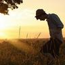 原版艾莫斯圣经学院文凭【degxx.com】